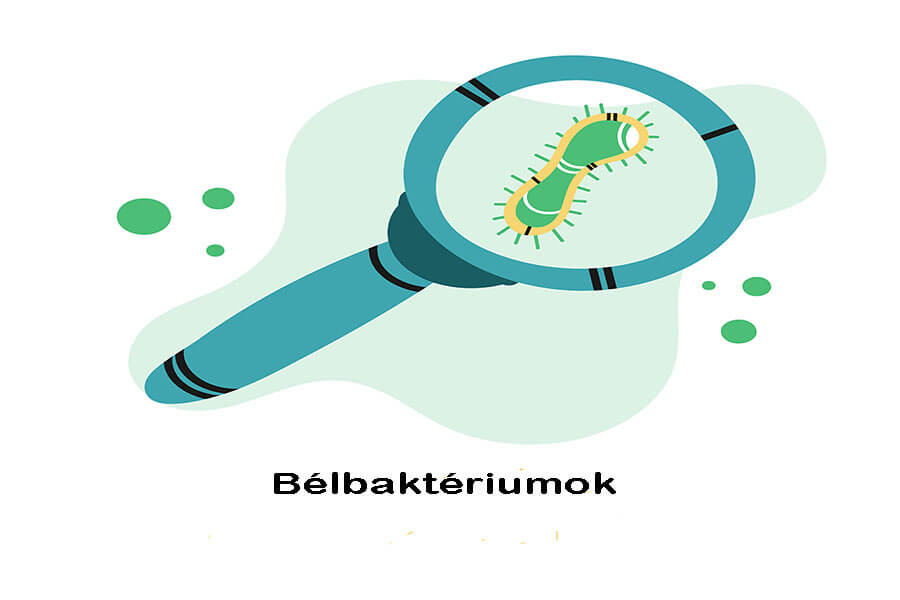 belbakterium