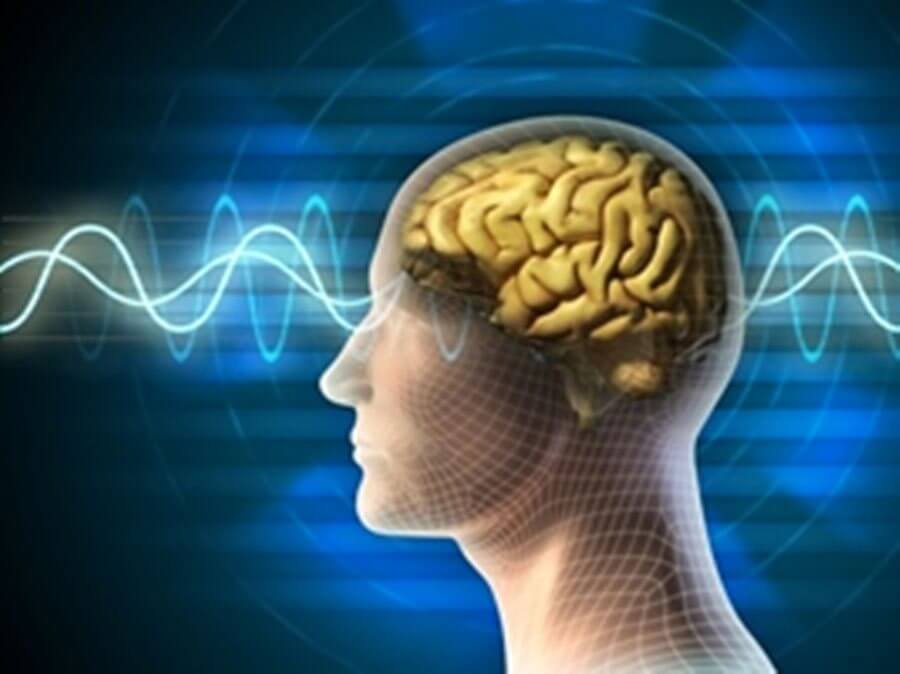 brainwave