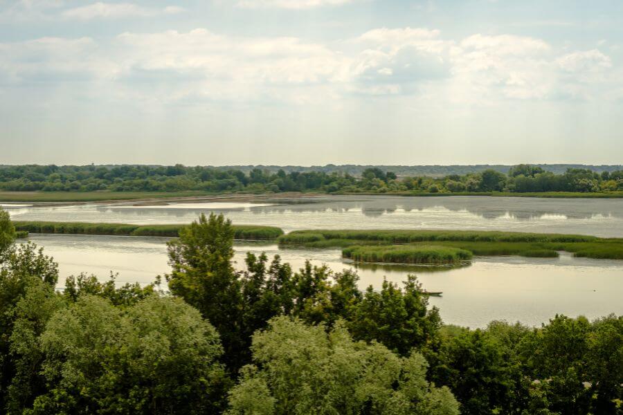 Tisza-tó