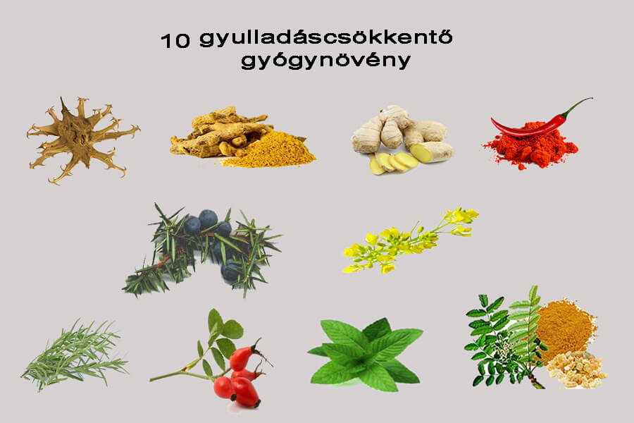 10 gyulladáscsökkentő gyógynövény az ízületekre