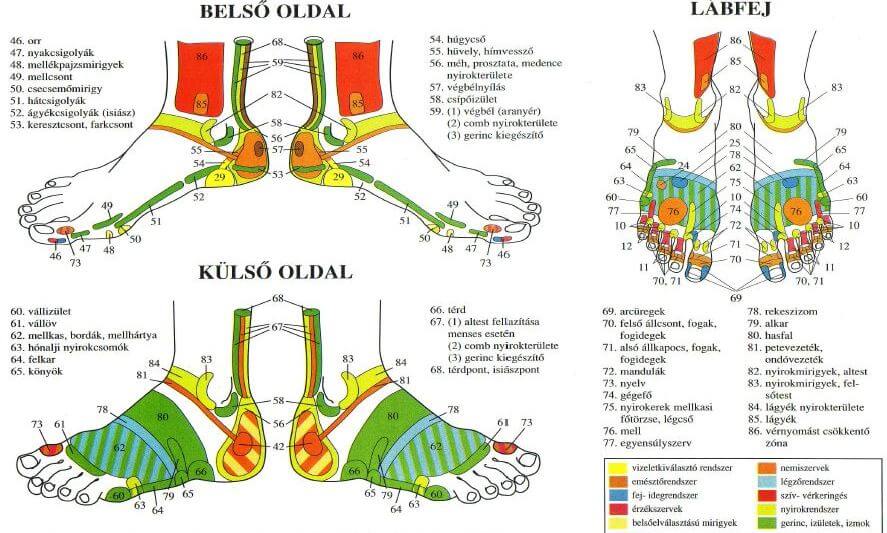 hogyan lehet enyhíteni a lábak ízületi fájdalmait időskorúaknál térdízület fájdalma térd alatt